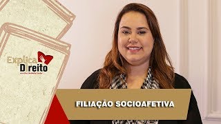 Explica Direito Filiação Socioafetiva  2019 [upl. by Abehs806]