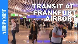 TRANSIT WALK AT FRANKFURT Airport FRA Terminal 1  Connection Flight Transfer Arriving amp Departing [upl. by Corbie]